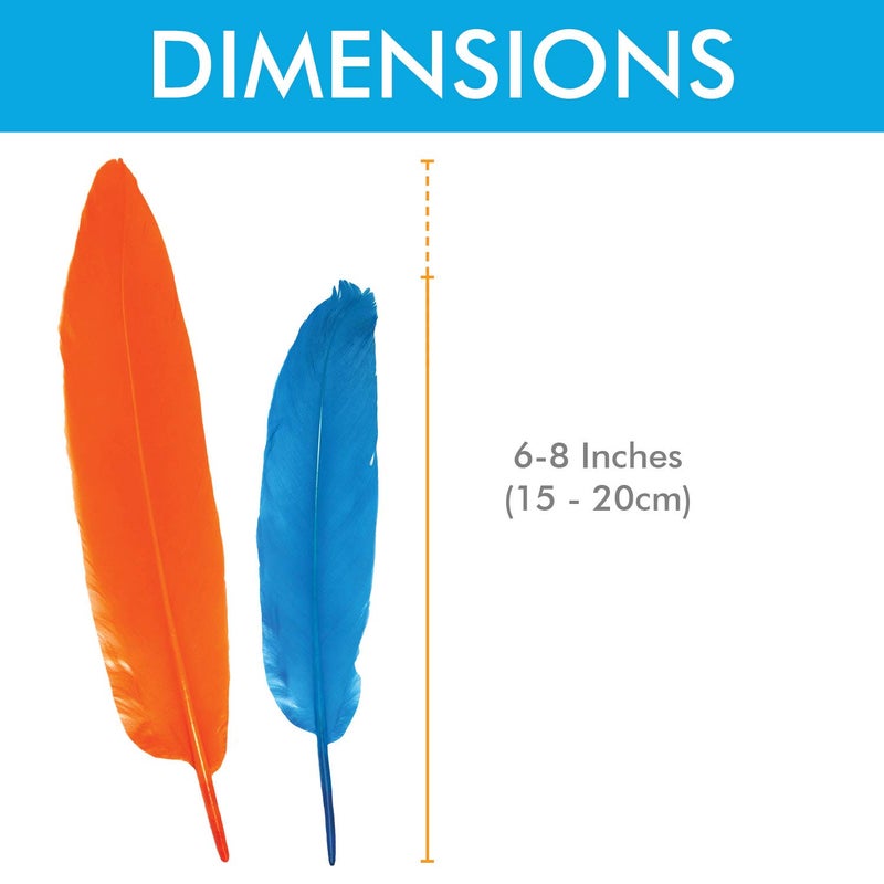 Millennial Essentials 120pcs Colorful Goose Feathers for DIY Crafts, Jewelry Making, Wedding, Home or Party Decorations, 12 Colors (6-8 Inches) - Image 3